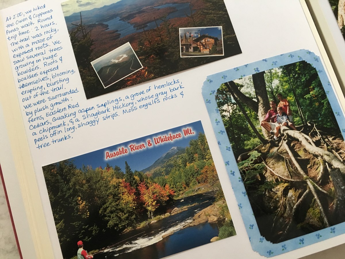 fullsizeoutput_1810b