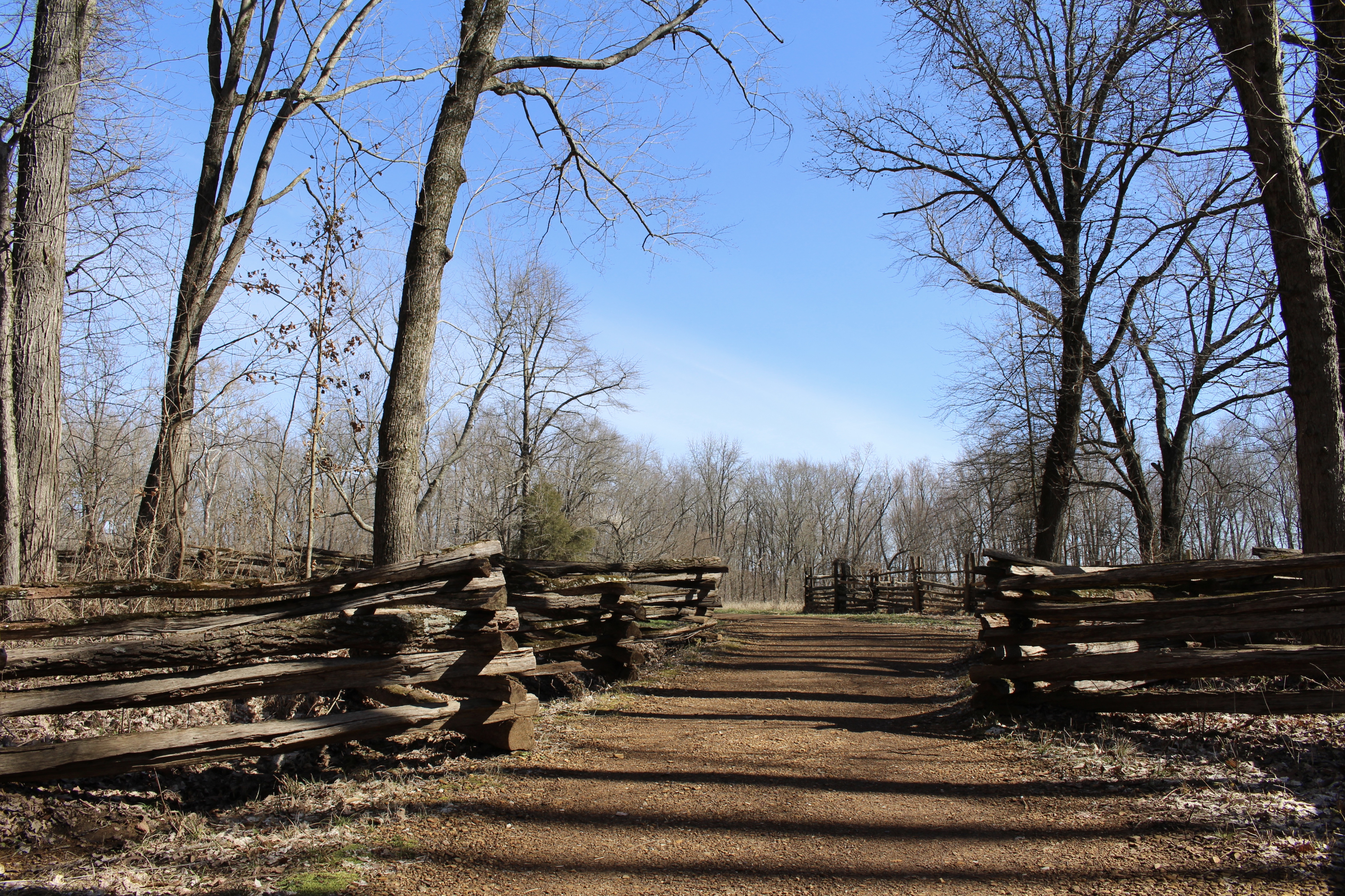 fullsizeoutput_18785