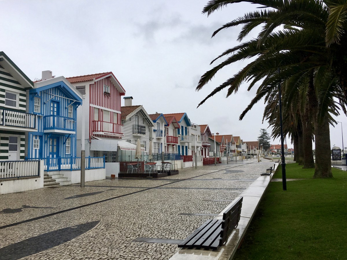 fullsizeoutput_188e5