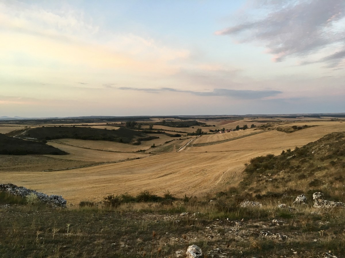 fullsizeoutput_18922