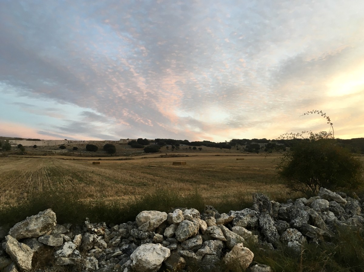 fullsizeoutput_18924