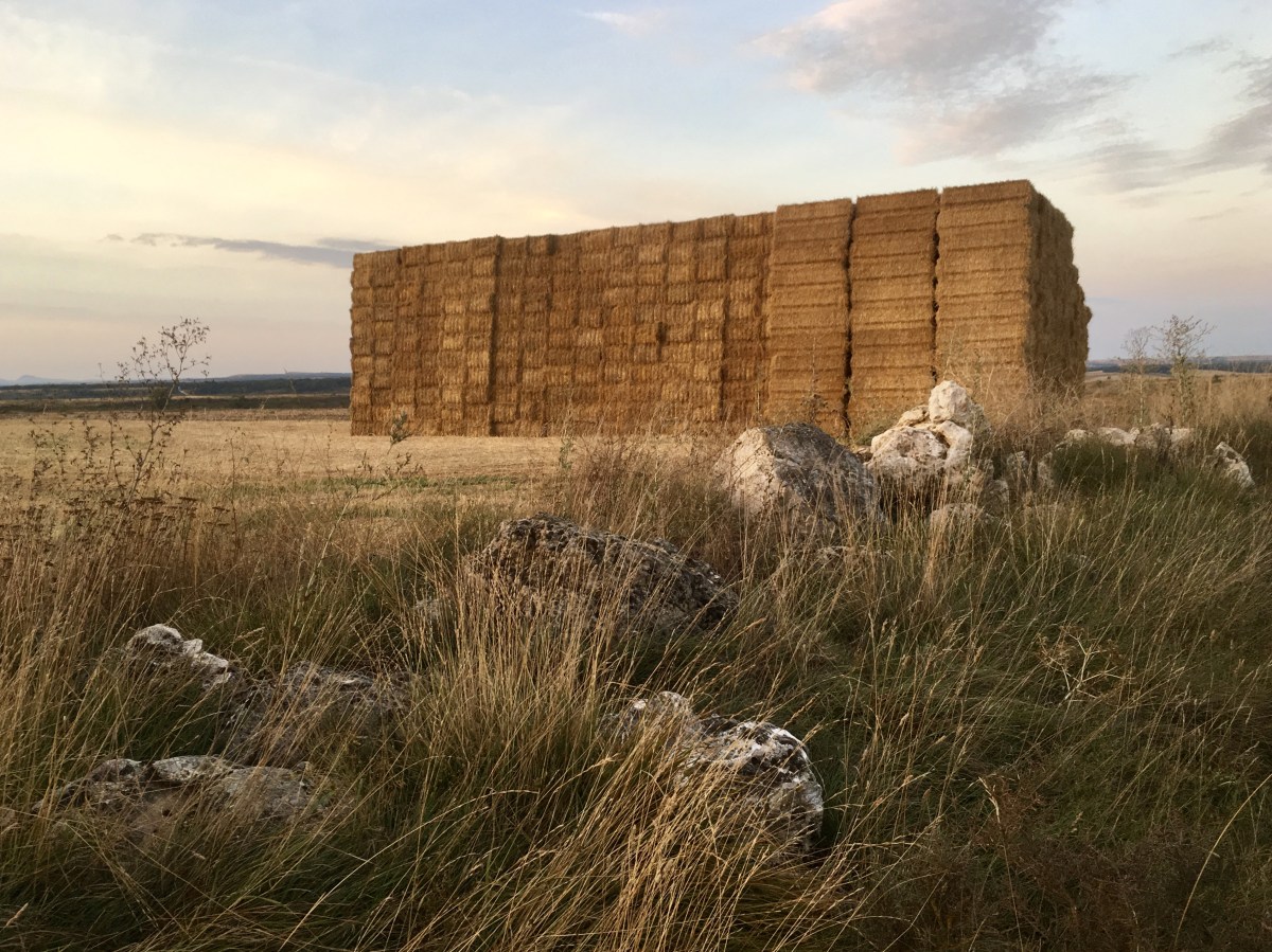 fullsizeoutput_18925