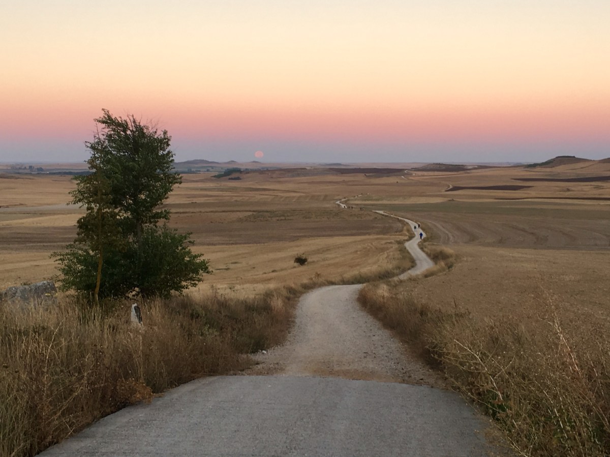 fullsizeoutput_16cad