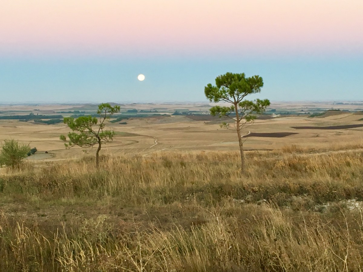 fullsizeoutput_16cb3