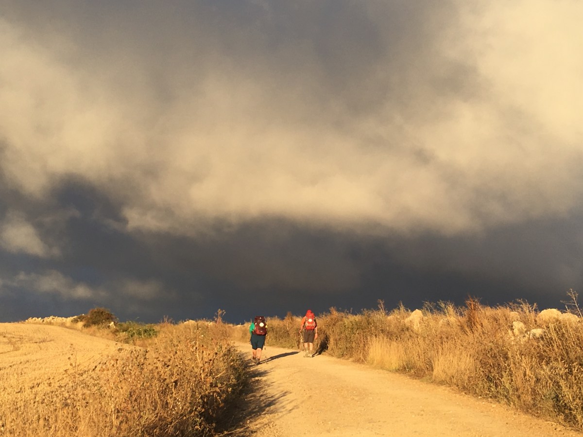 fullsizeoutput_16cf4