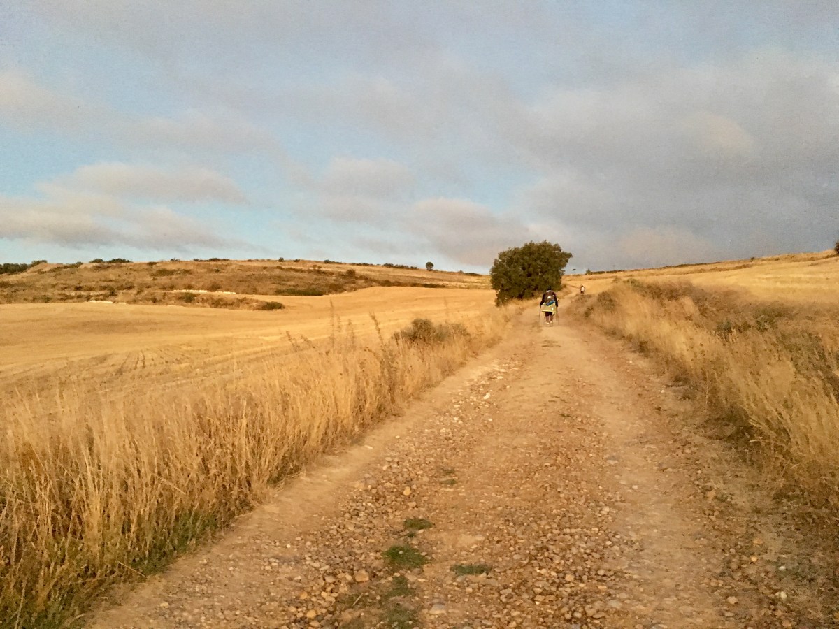 fullsizeoutput_16d22