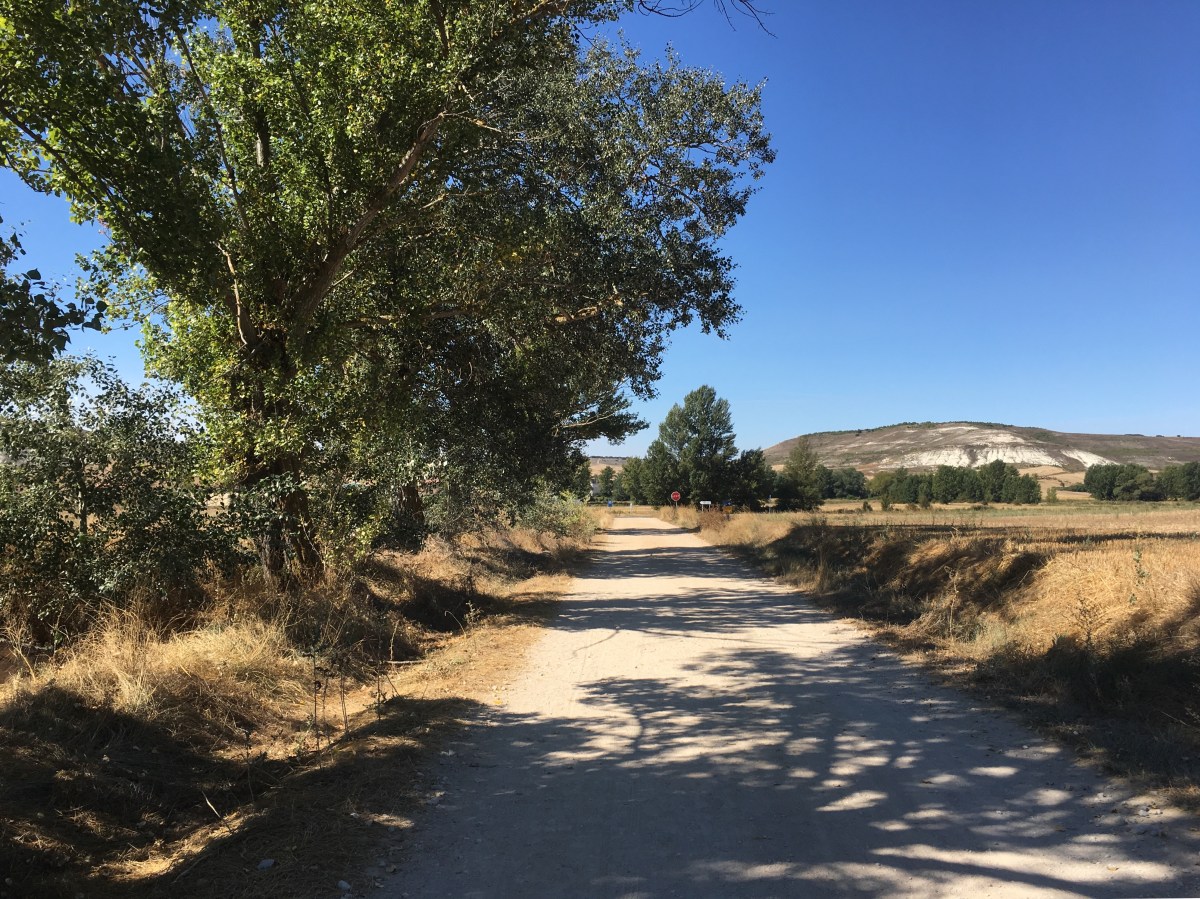 fullsizeoutput_16d2d