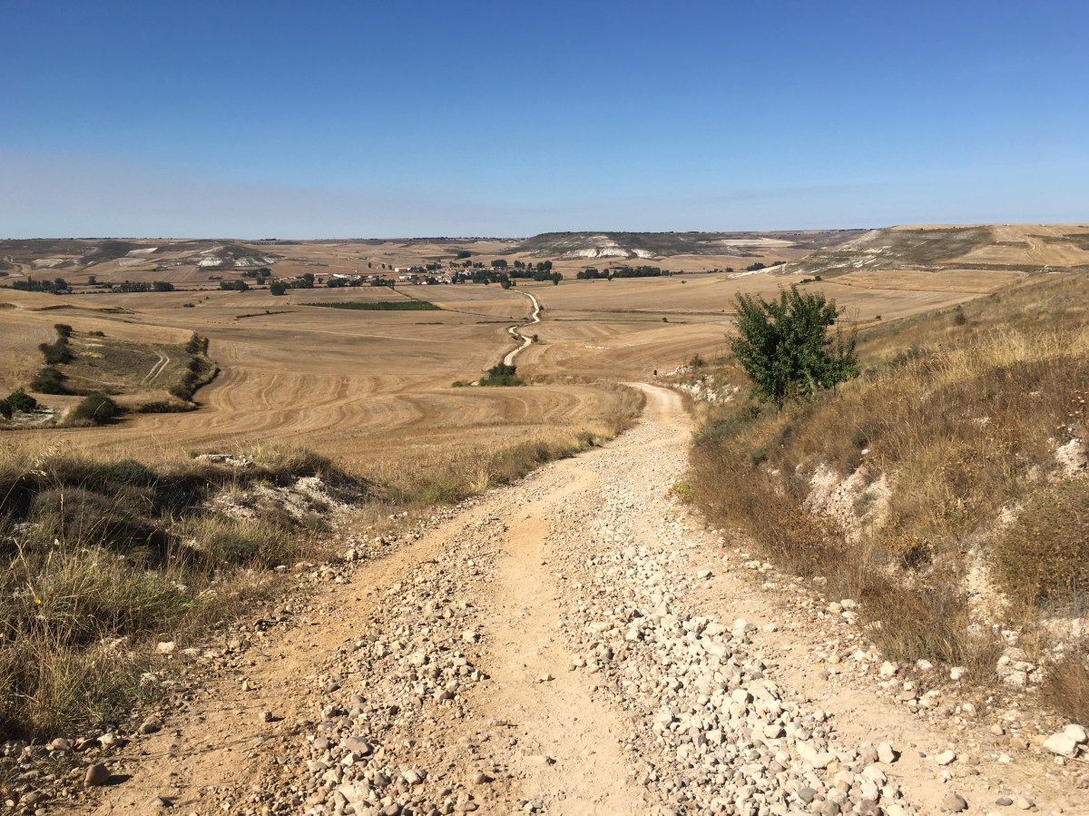 fullsizeoutput_16d2e