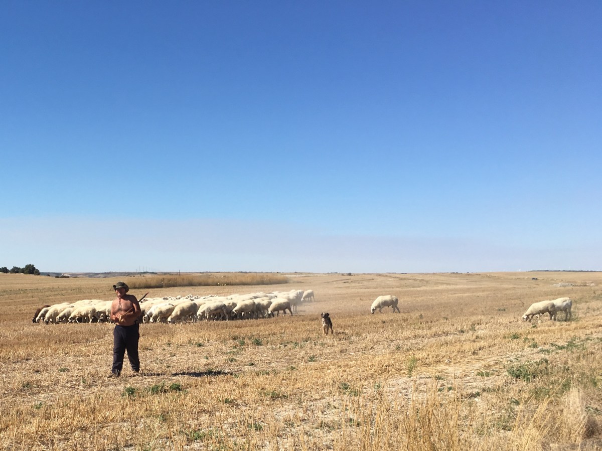 fullsizeoutput_16d4f