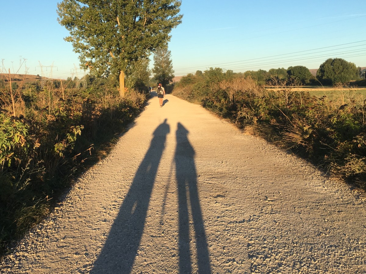 fullsizeoutput_16d59