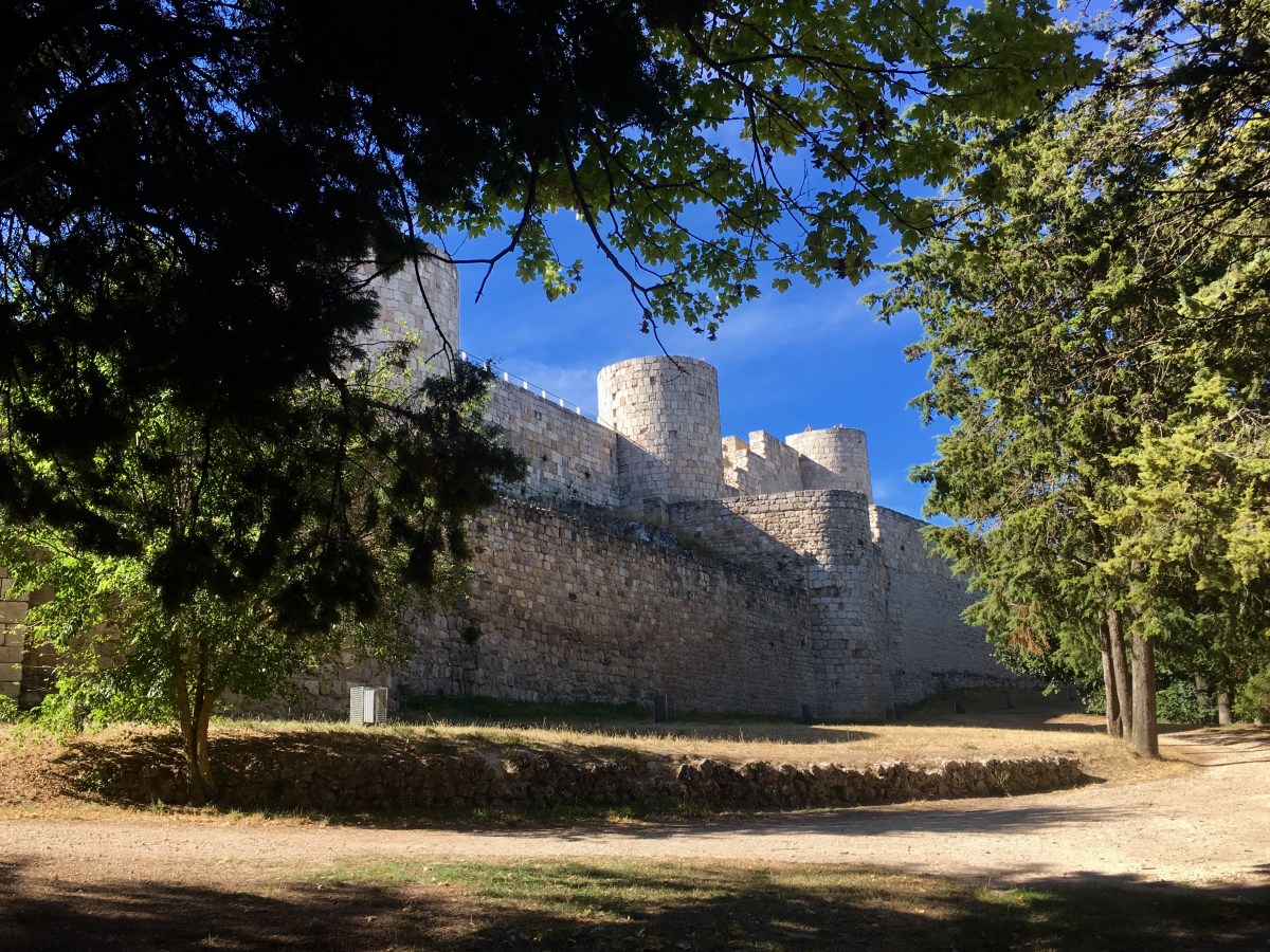 fullsizeoutput_16d70