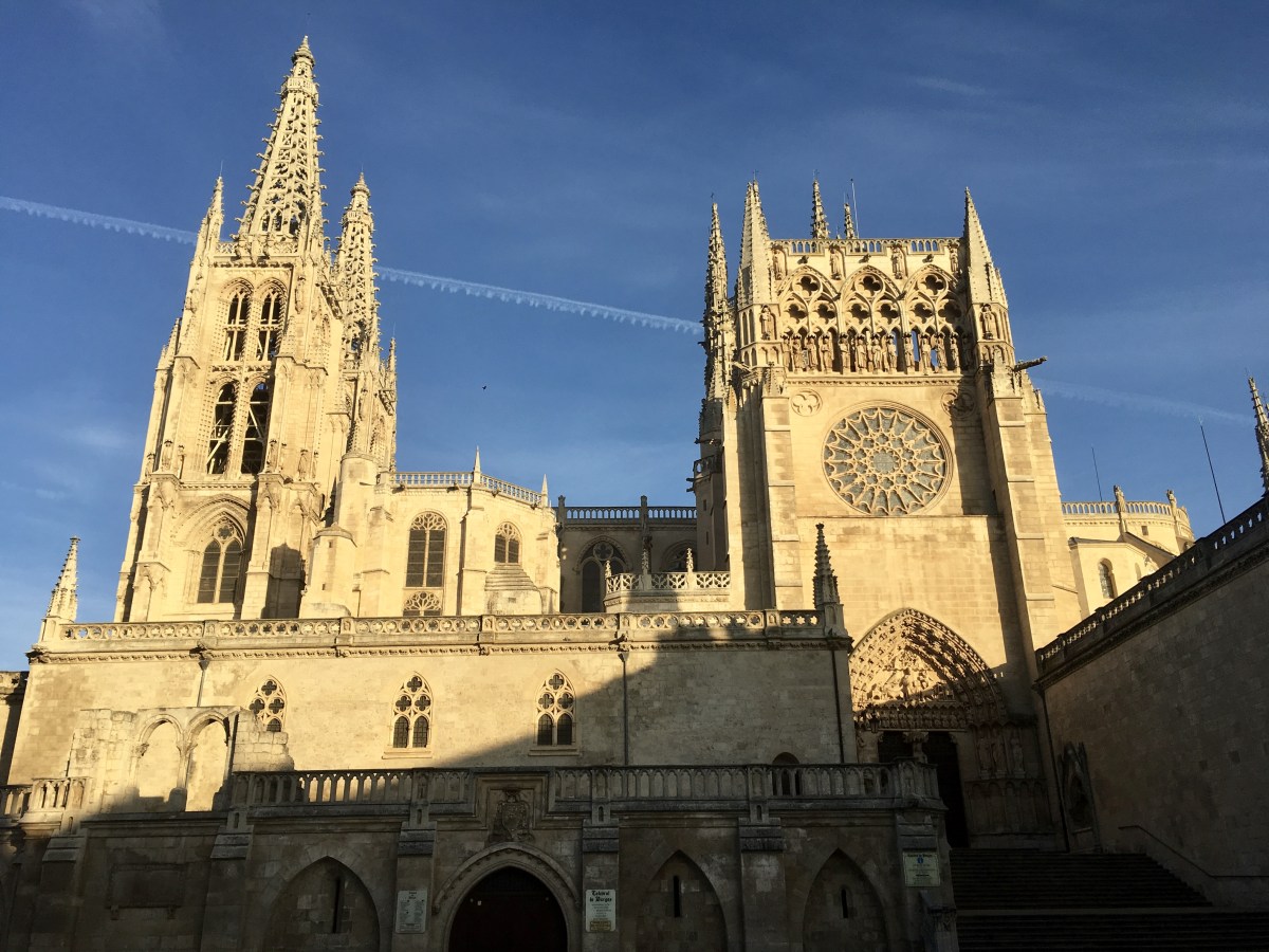 fullsizeoutput_17215