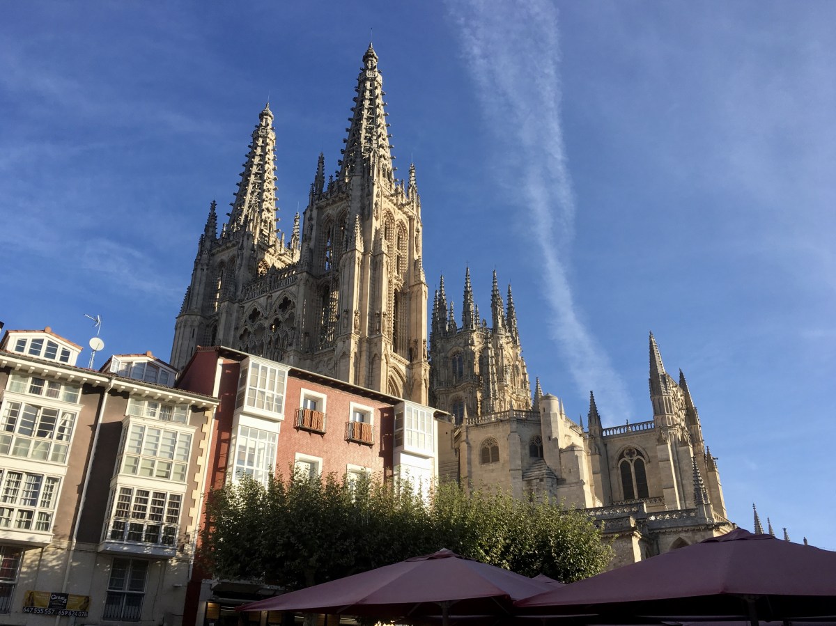 fullsizeoutput_18971