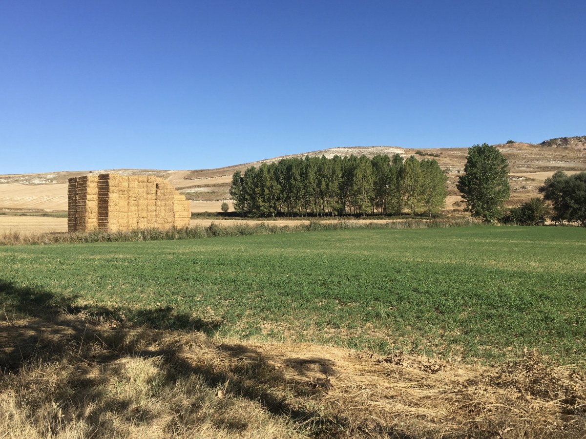 fullsizeoutput_18a34