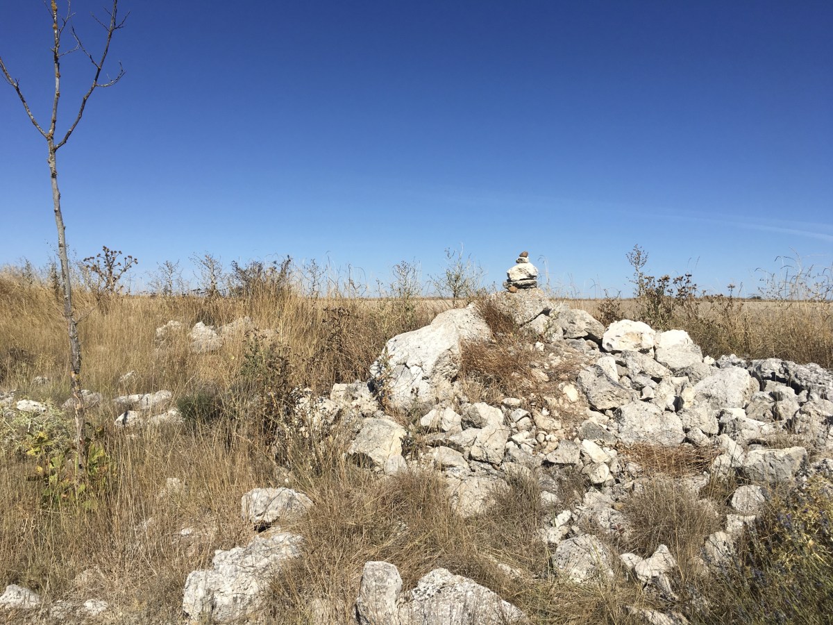 fullsizeoutput_18a38