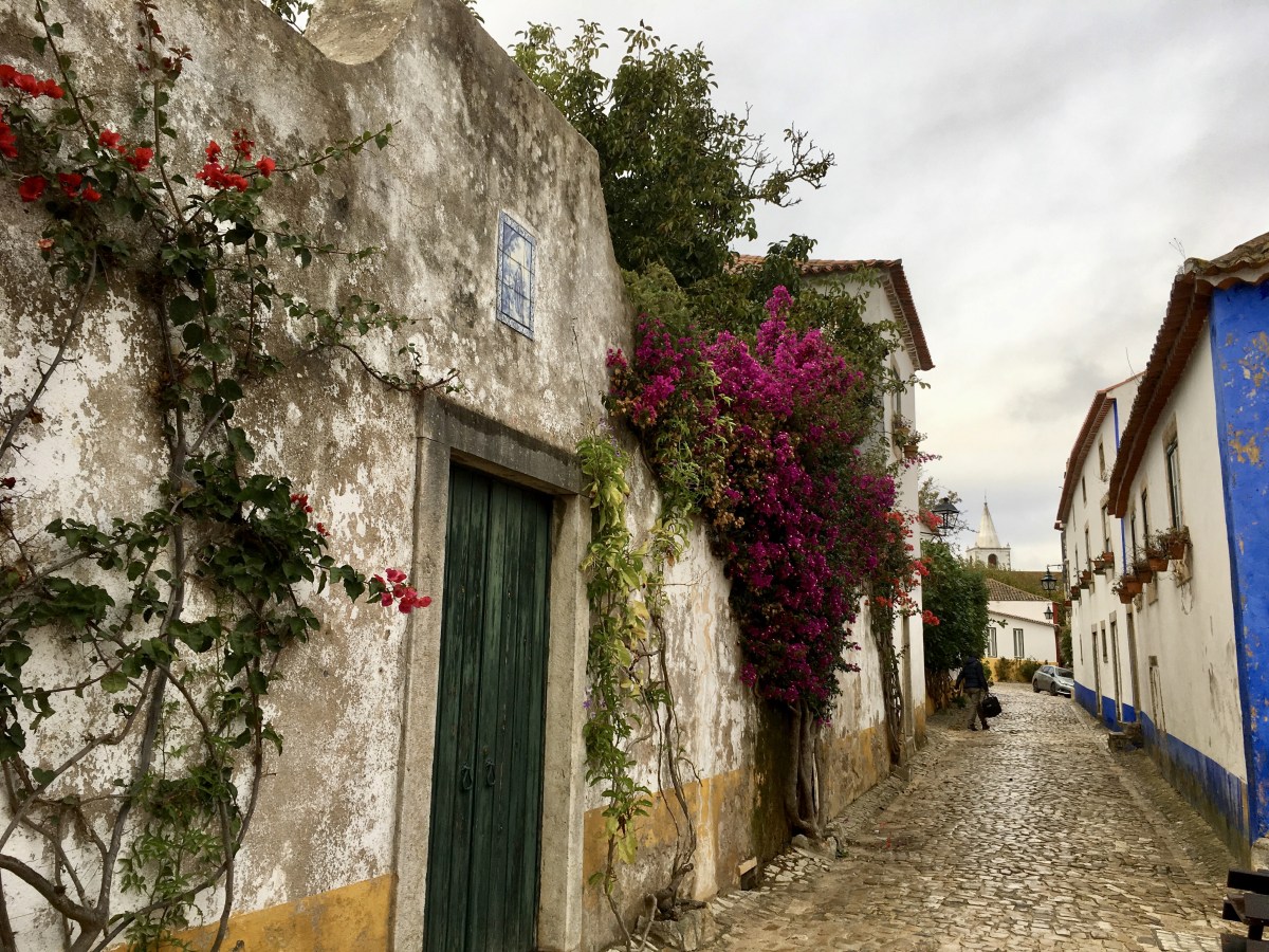 fullsizeoutput_18a7c