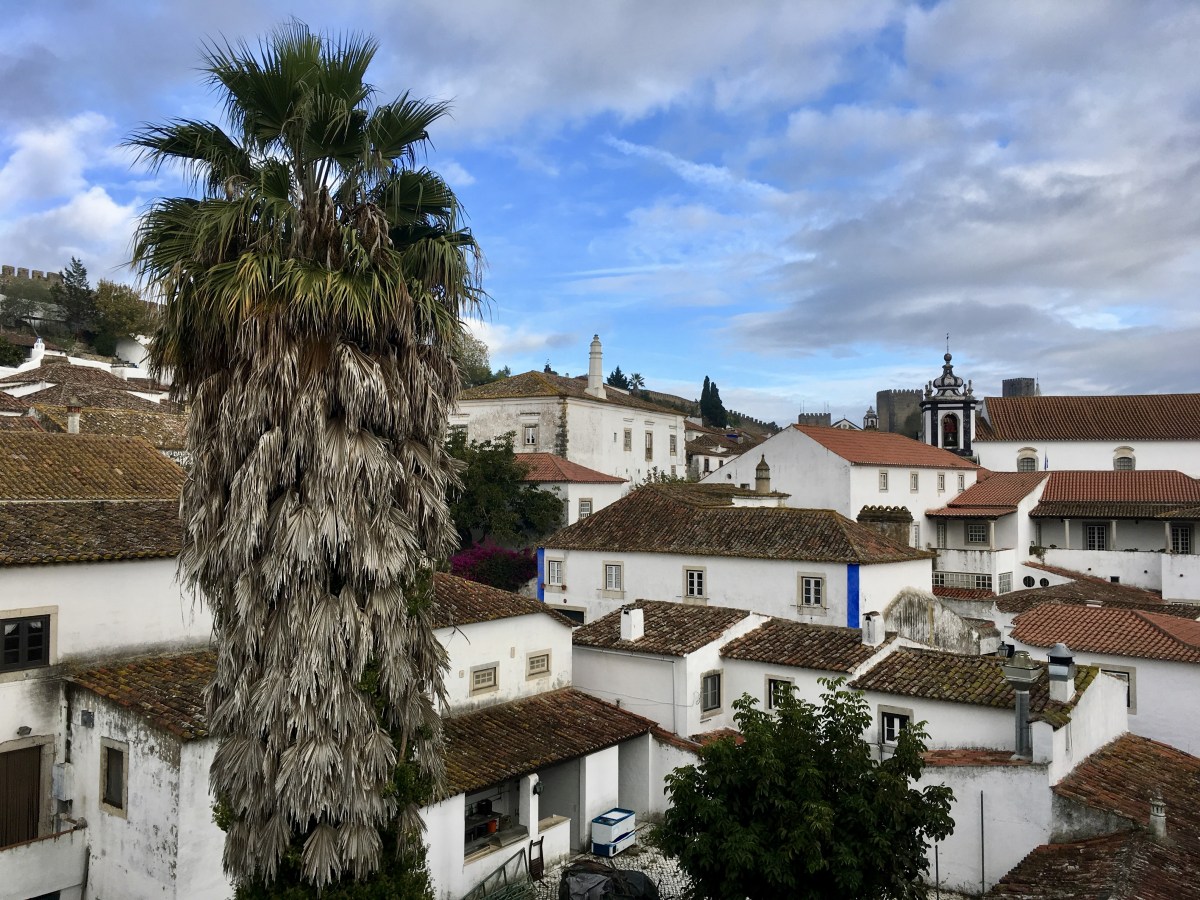 fullsizeoutput_18ae8