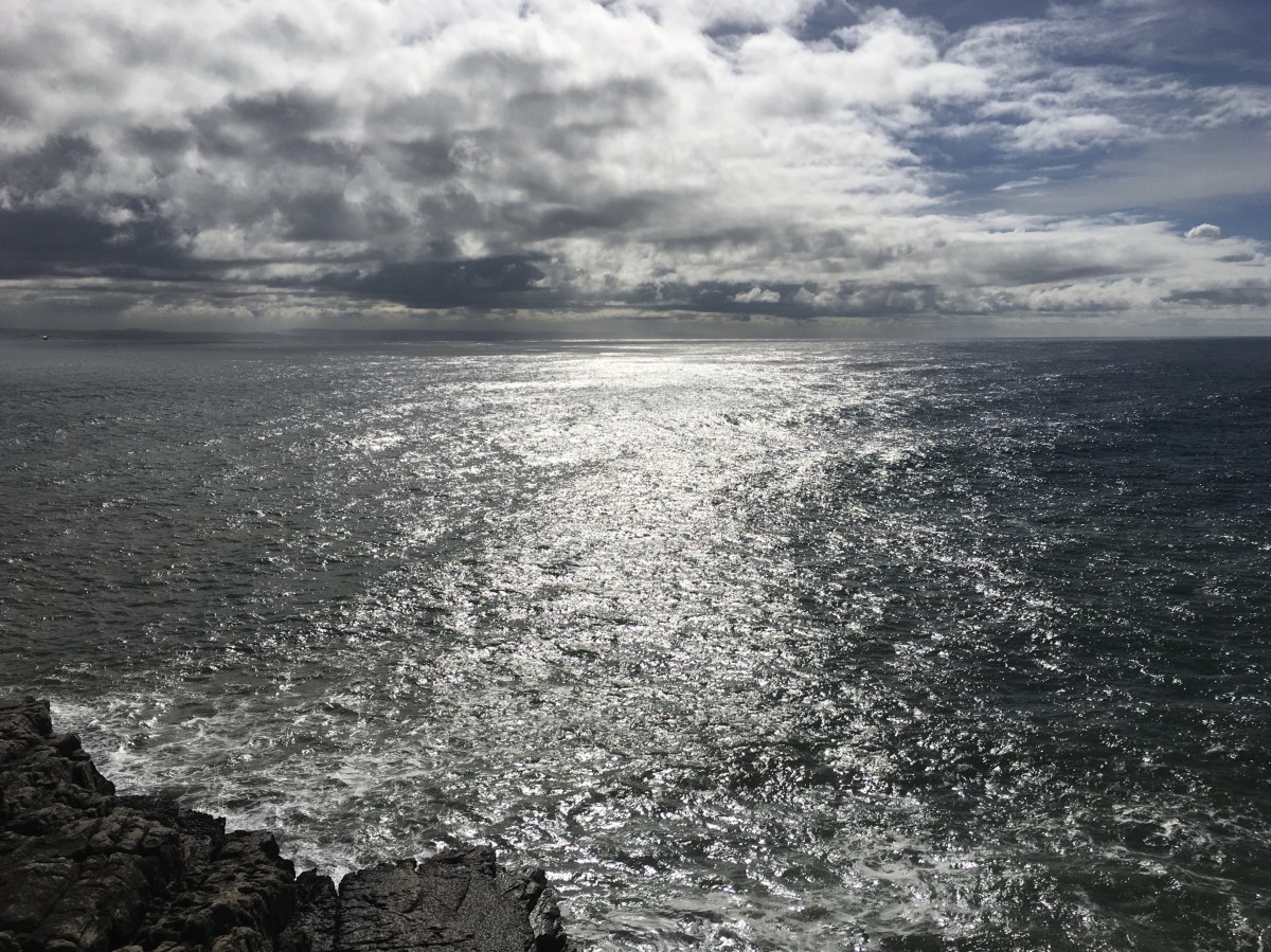 fullsizeoutput_18d28