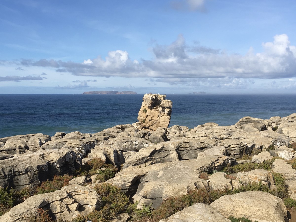 fullsizeoutput_18d2c