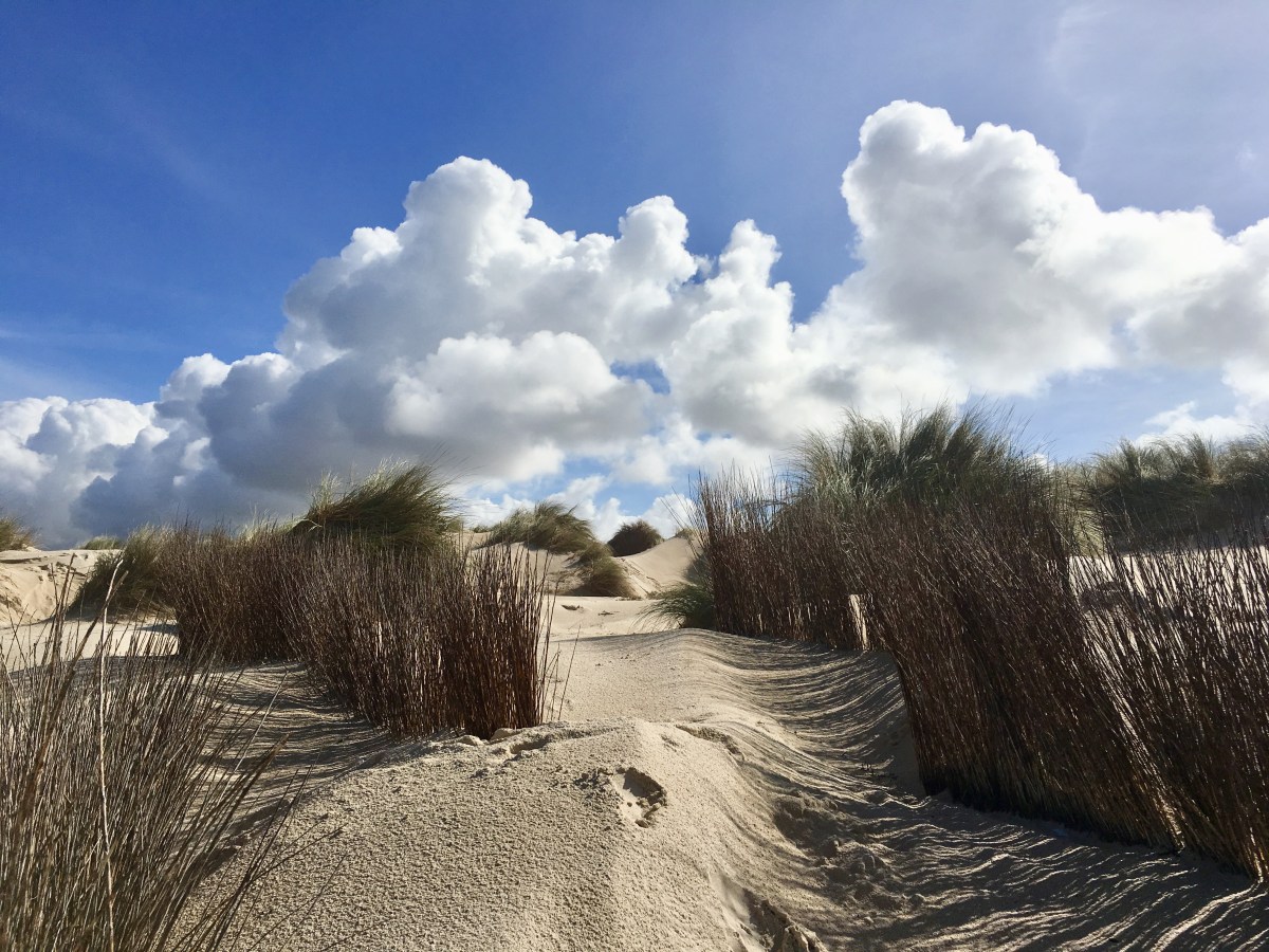 fullsizeoutput_18d77