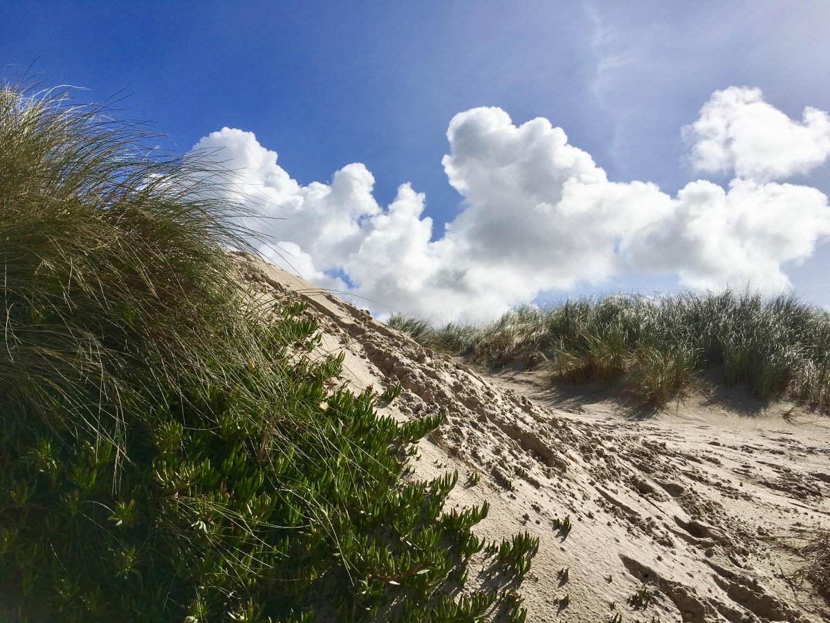 fullsizeoutput_18d78