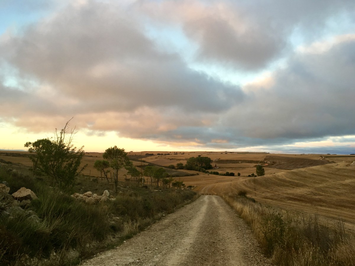 fullsizeoutput_18da1