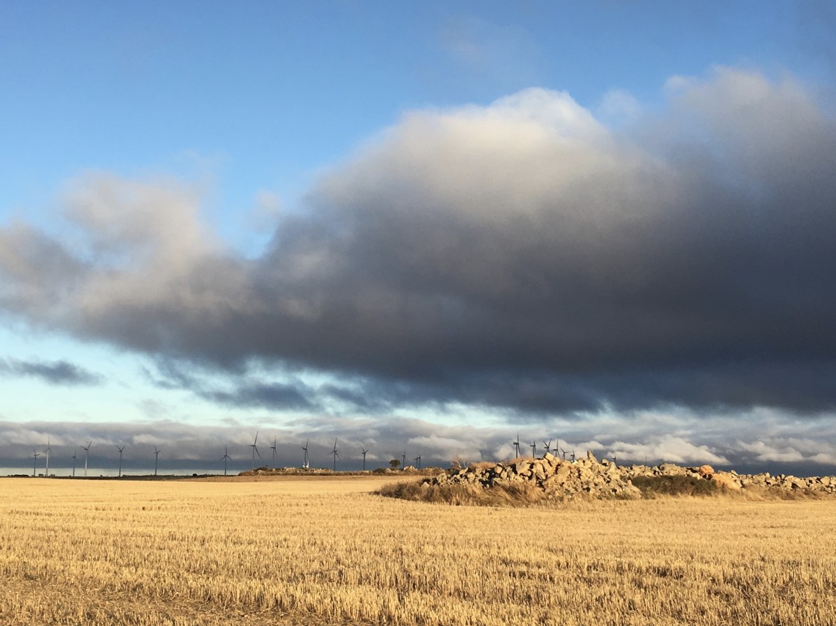 fullsizeoutput_18da3