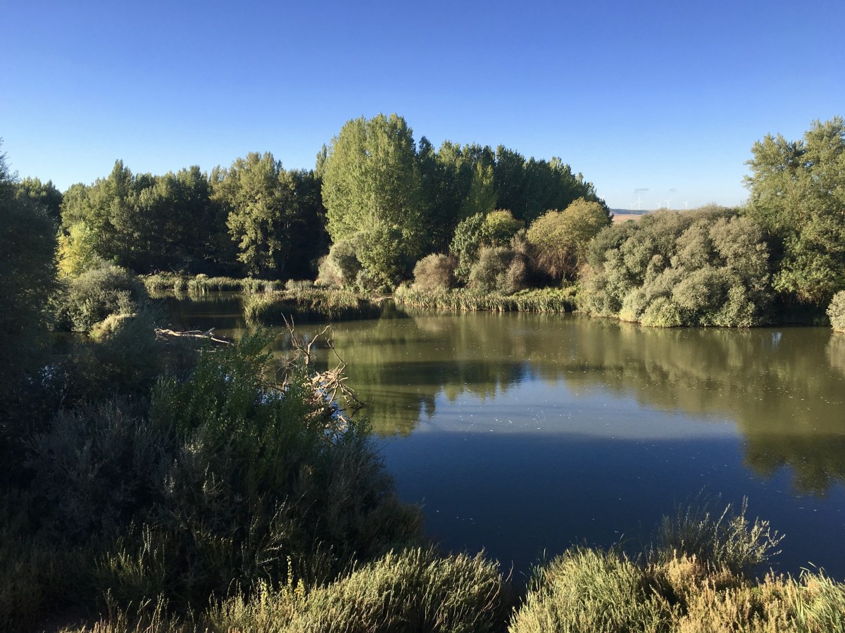 fullsizeoutput_18e44