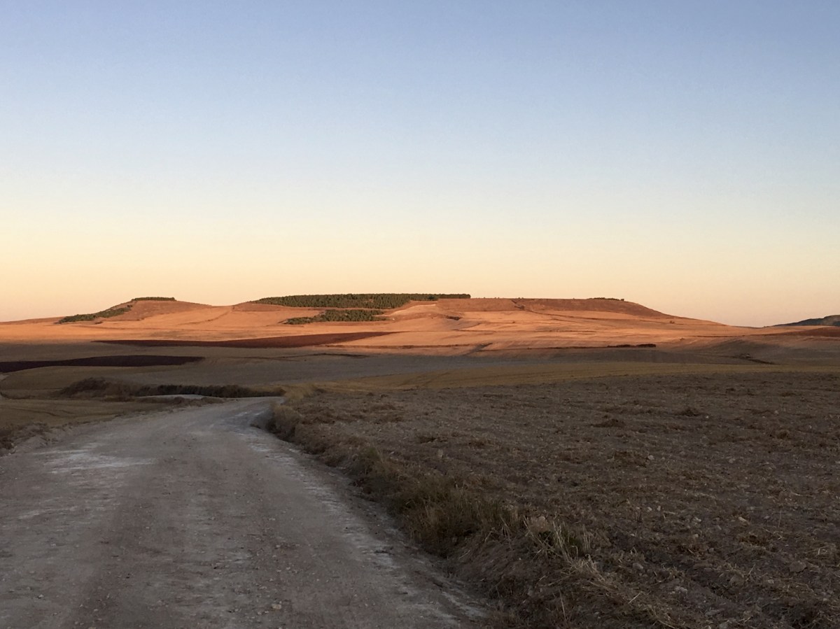 fullsizeoutput_18e4d