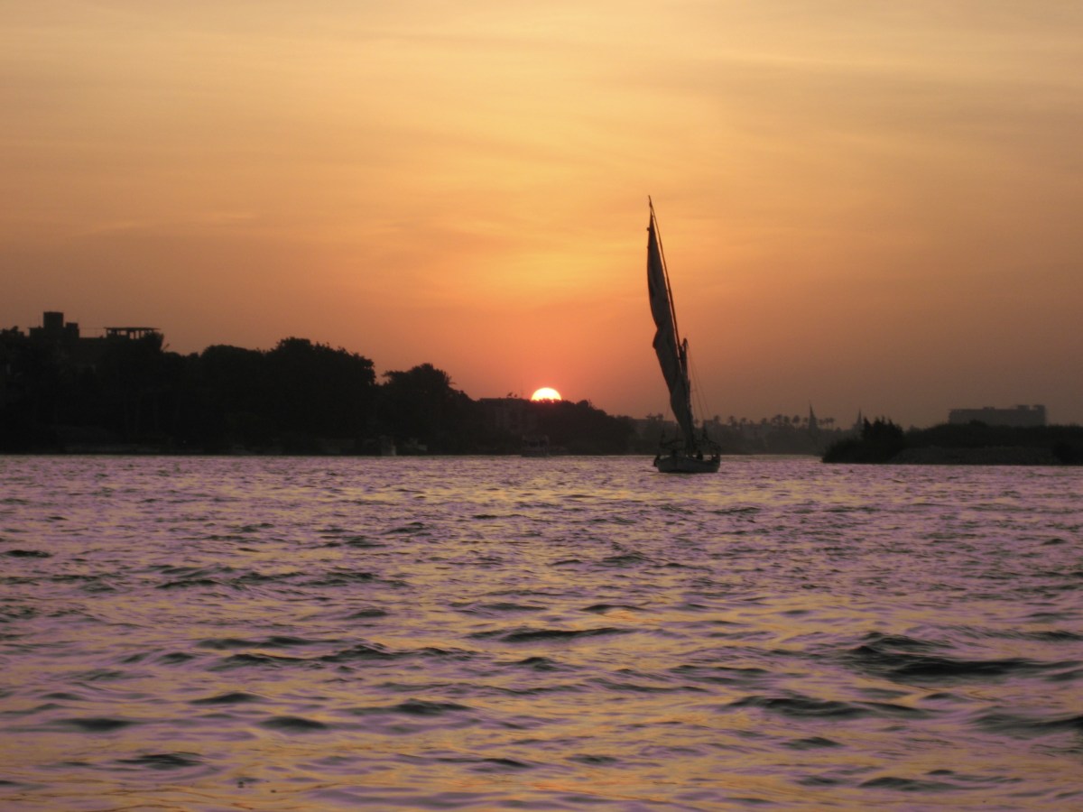 fullsizeoutput_19454