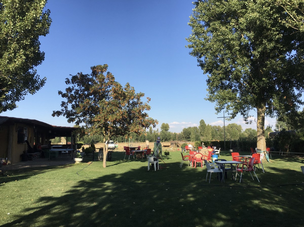 fullsizeoutput_195a9