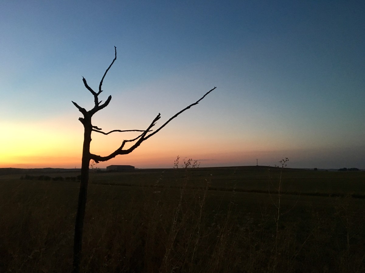 fullsizeoutput_16bc9