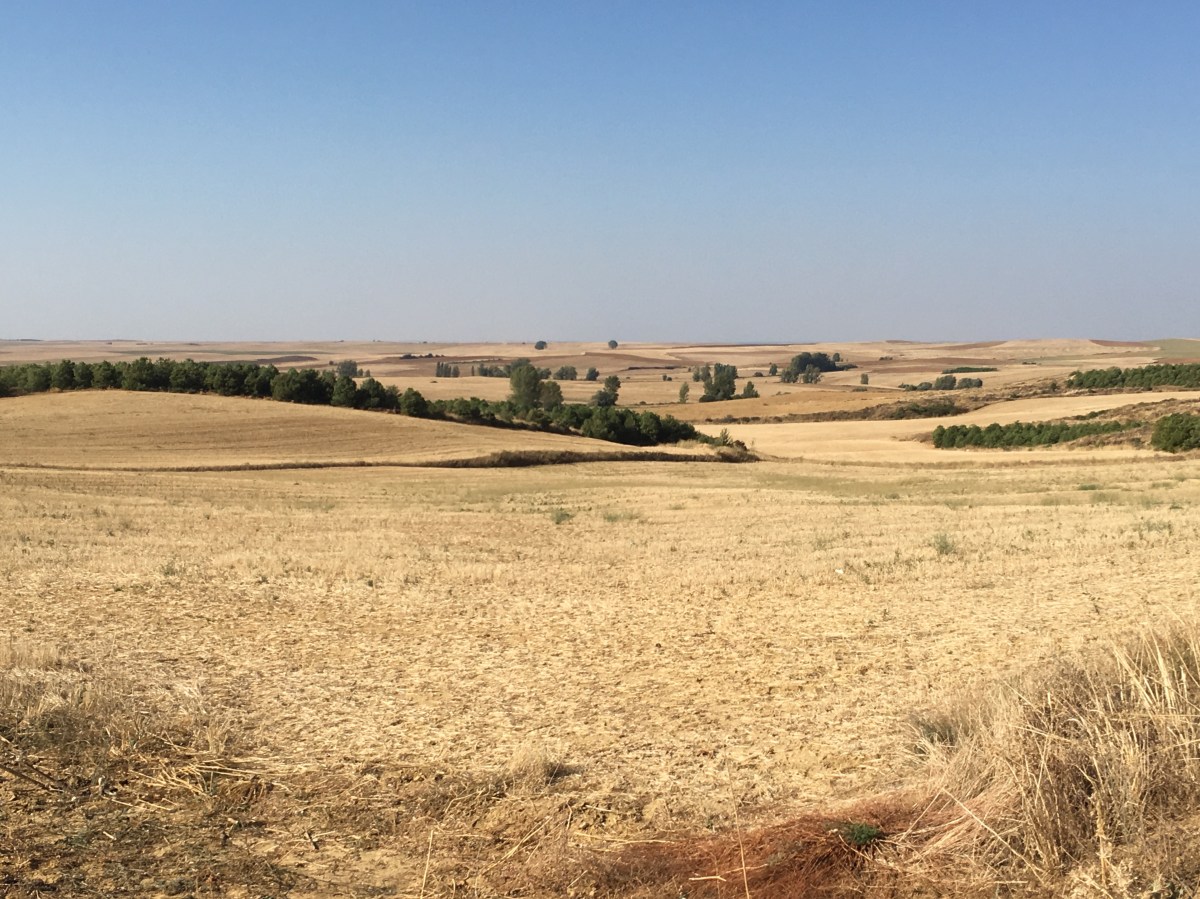 fullsizeoutput_16bd9