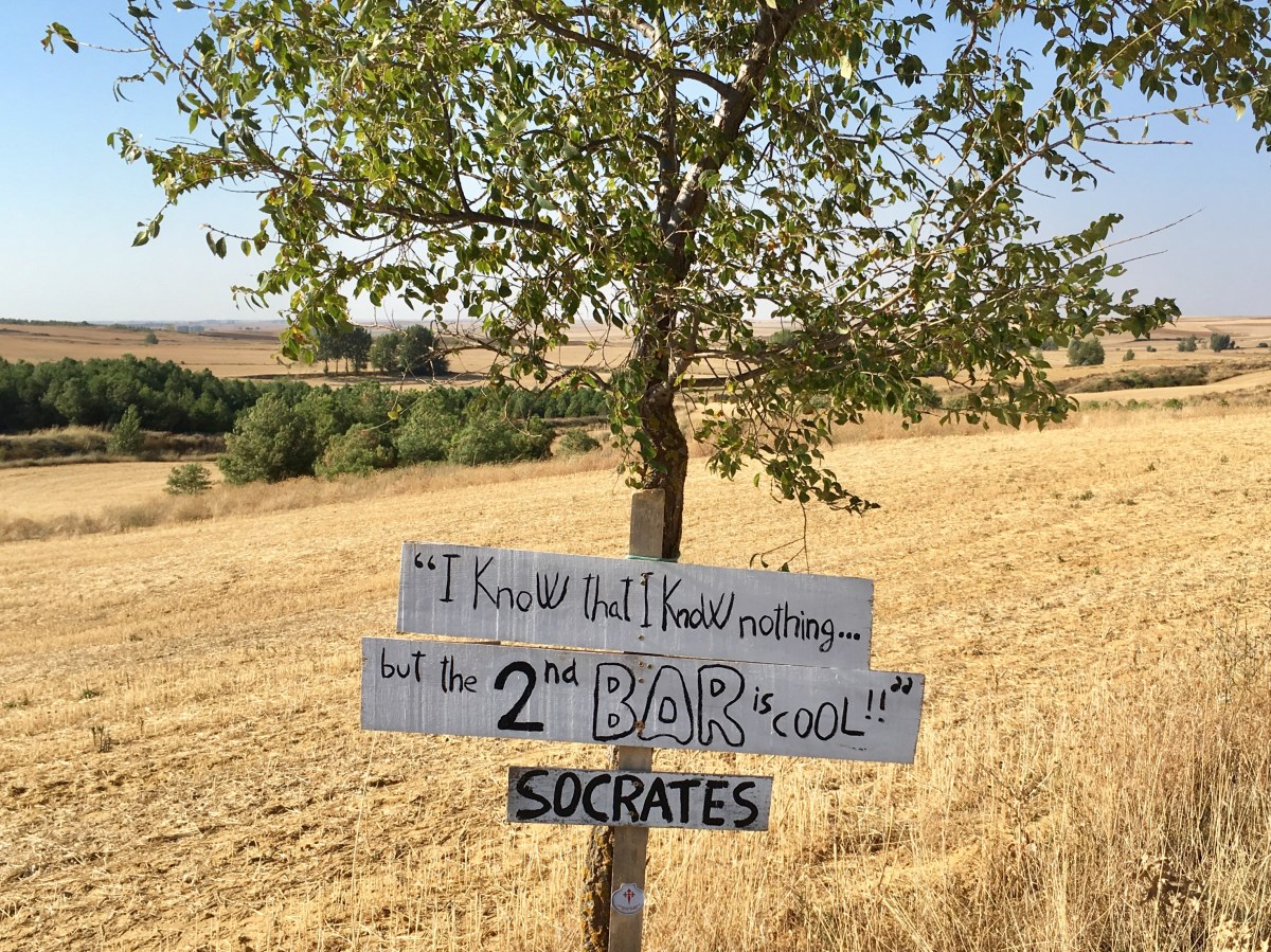 fullsizeoutput_16be2