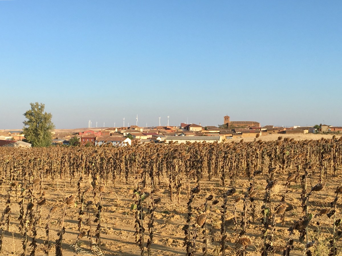 fullsizeoutput_16be6