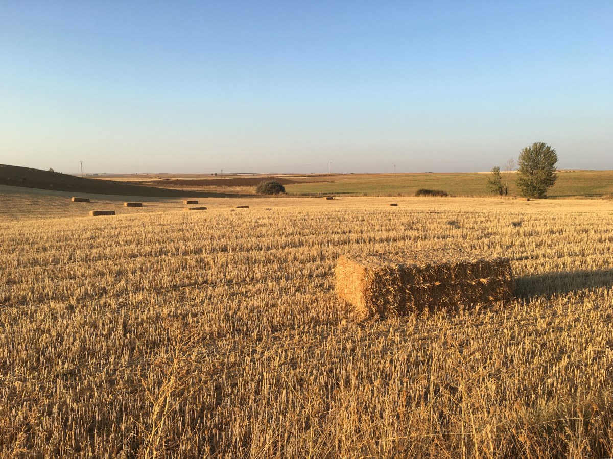 fullsizeoutput_16beb