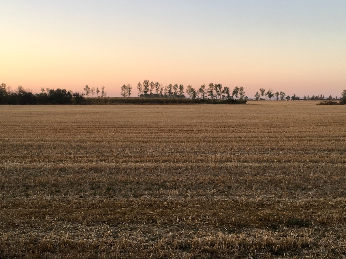 fullsizeoutput_16c12