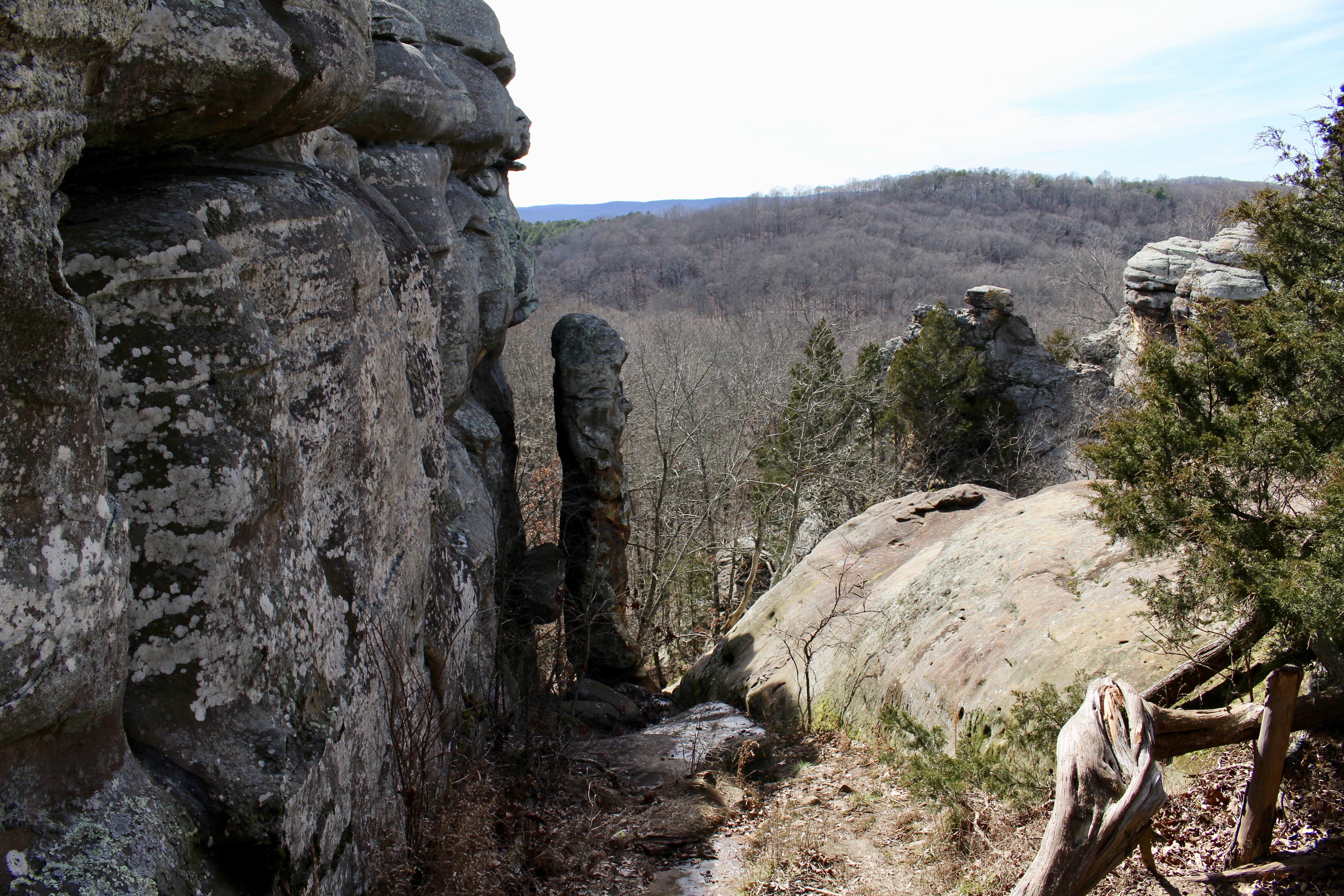 fullsizeoutput_19492