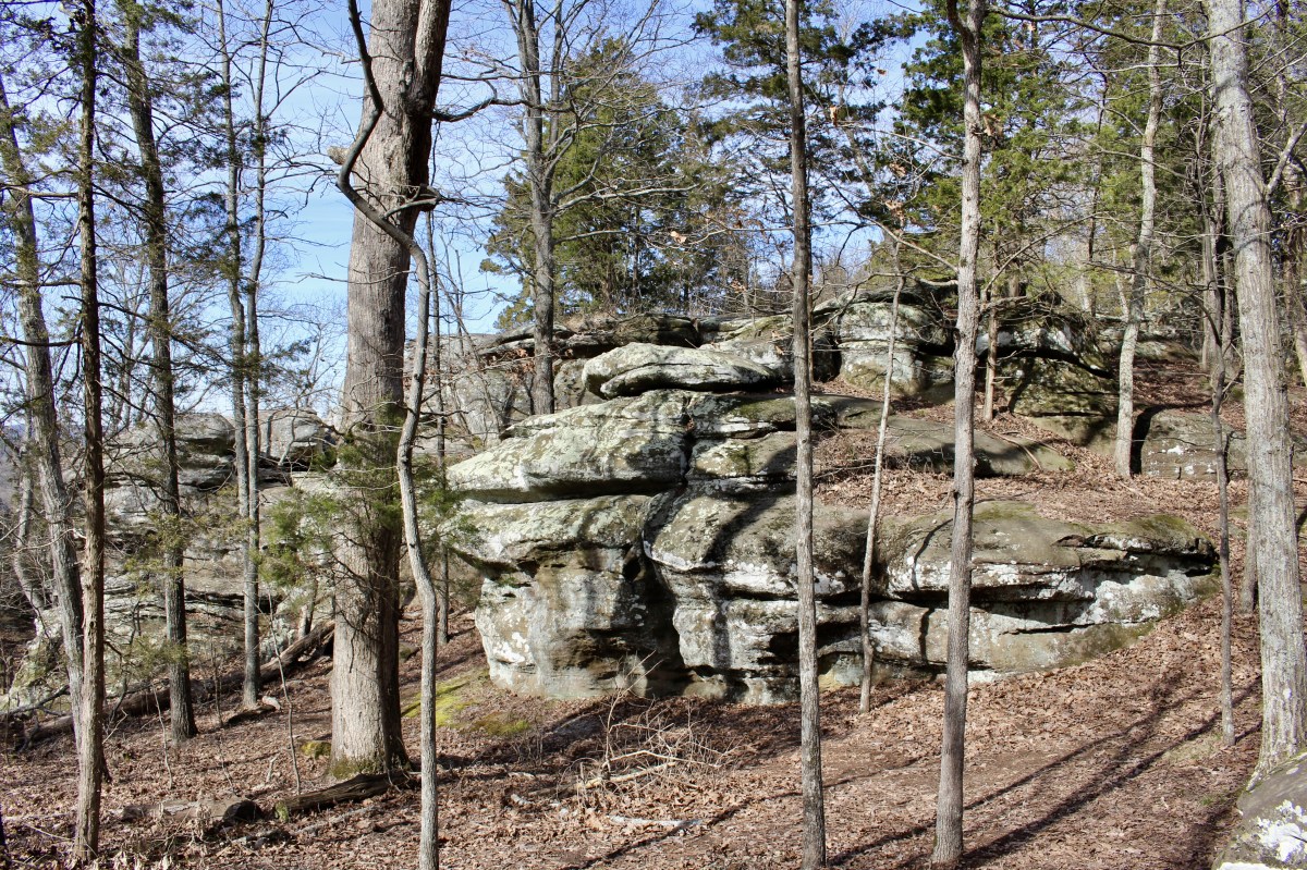 fullsizeoutput_194a3