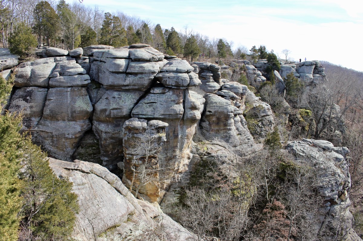 fullsizeoutput_194a4