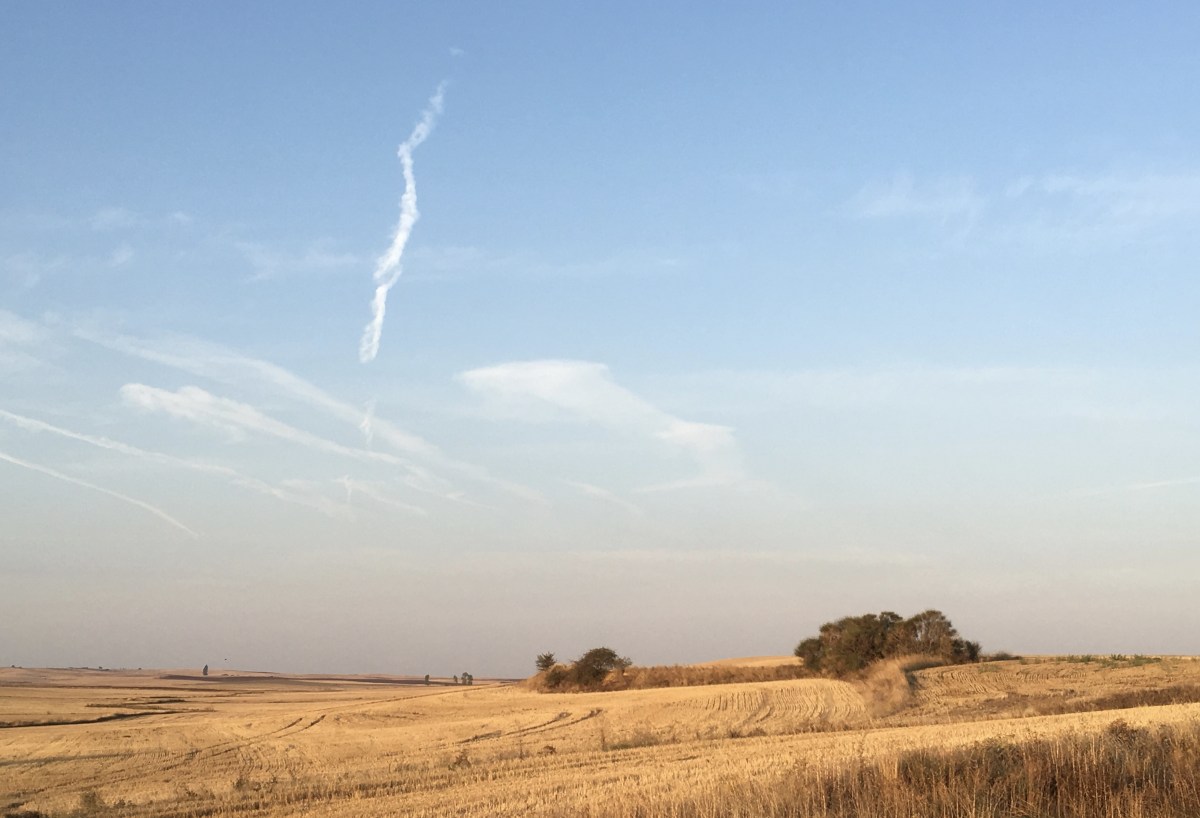 fullsizeoutput_195c0