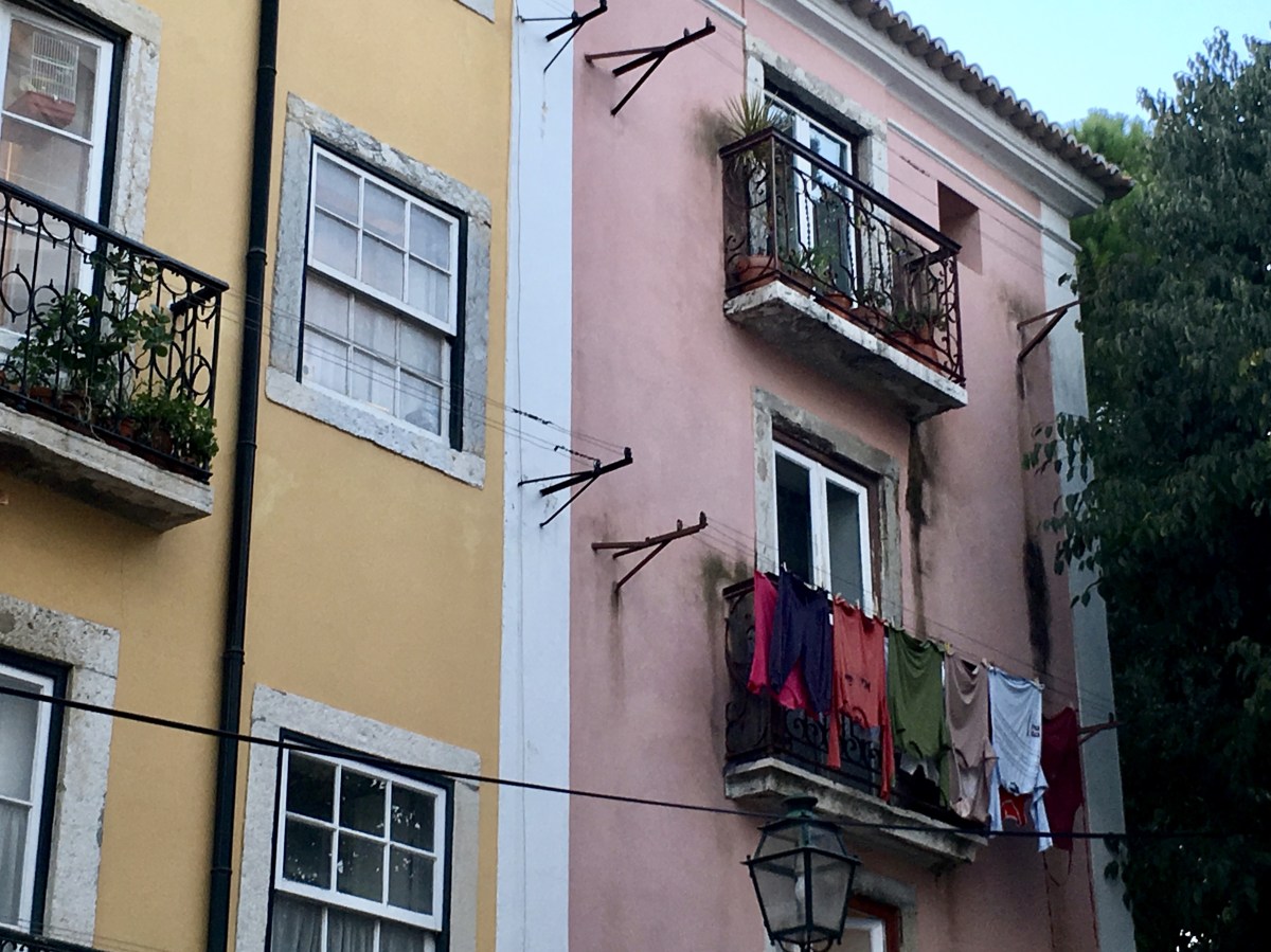 fullsizeoutput_19607