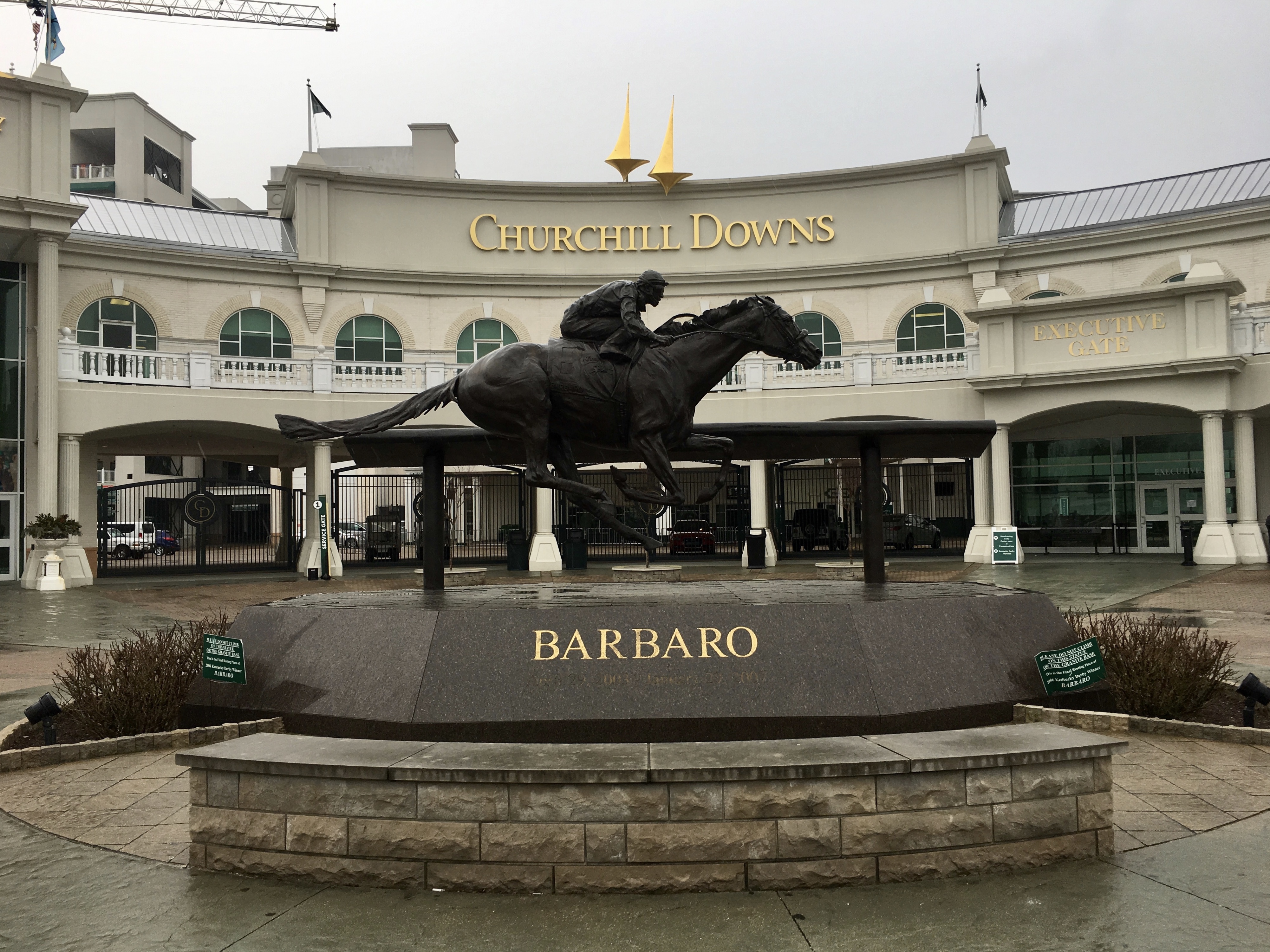 fullsizeoutput_19646