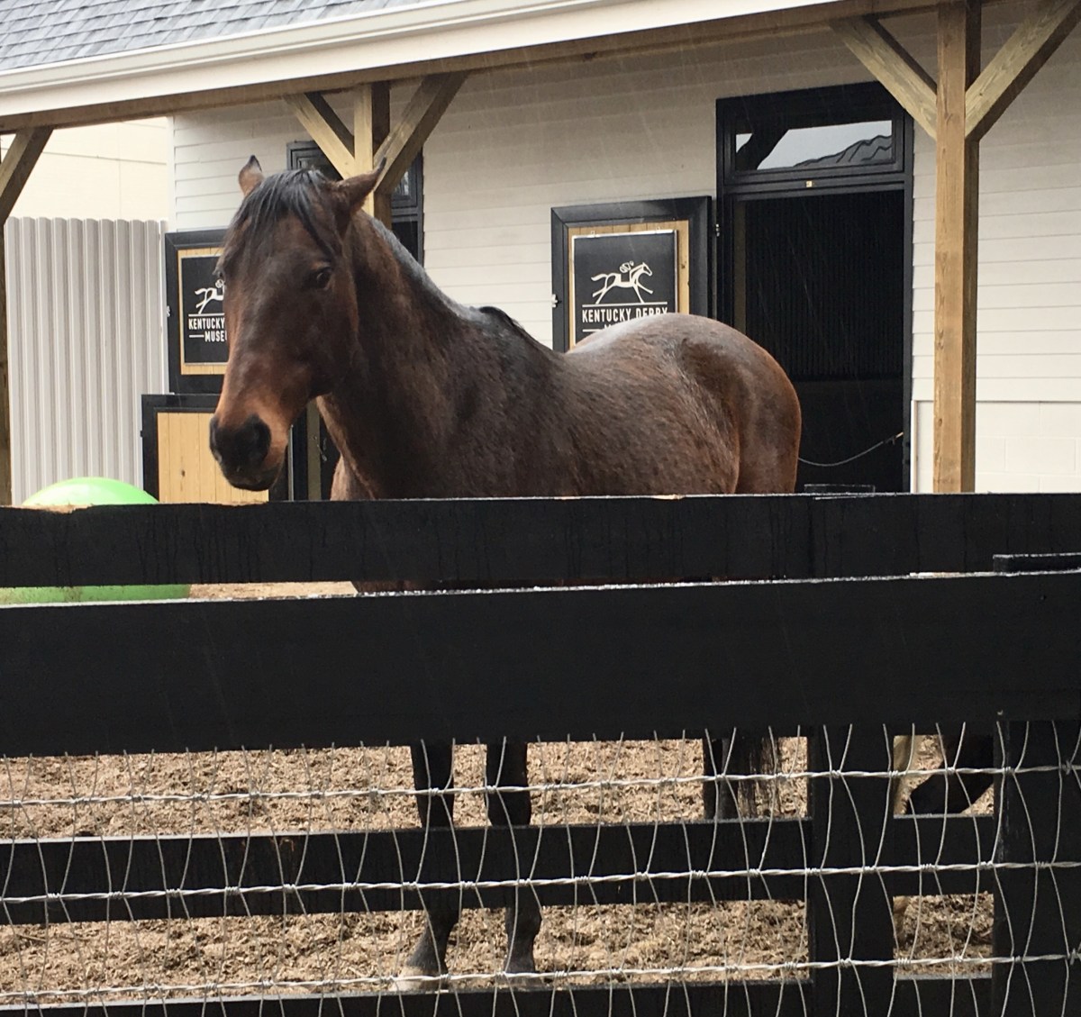 fullsizeoutput_1964b