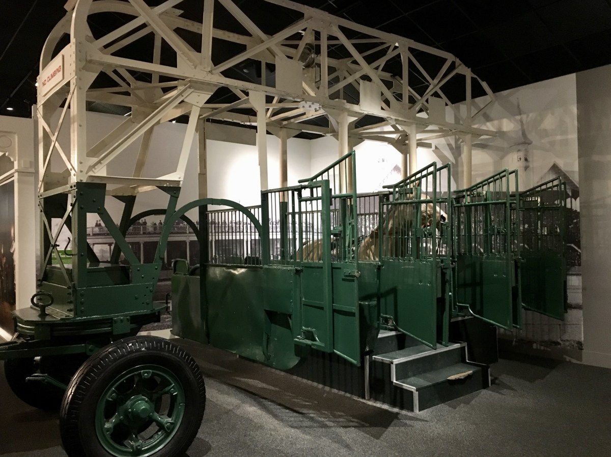 fullsizeoutput_19652