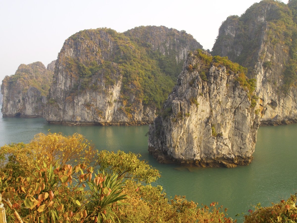 fullsizeoutput_19764