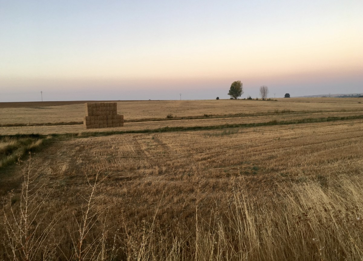 fullsizeoutput_19a5d