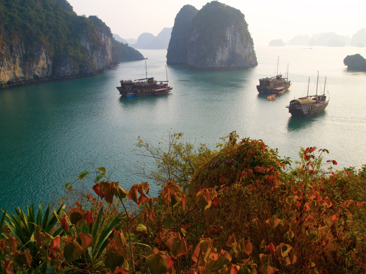 fullsizeoutput_1974c