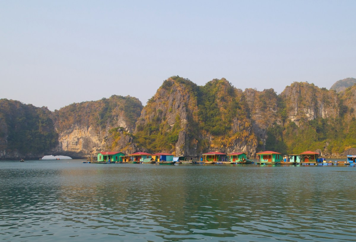 fullsizeoutput_19834