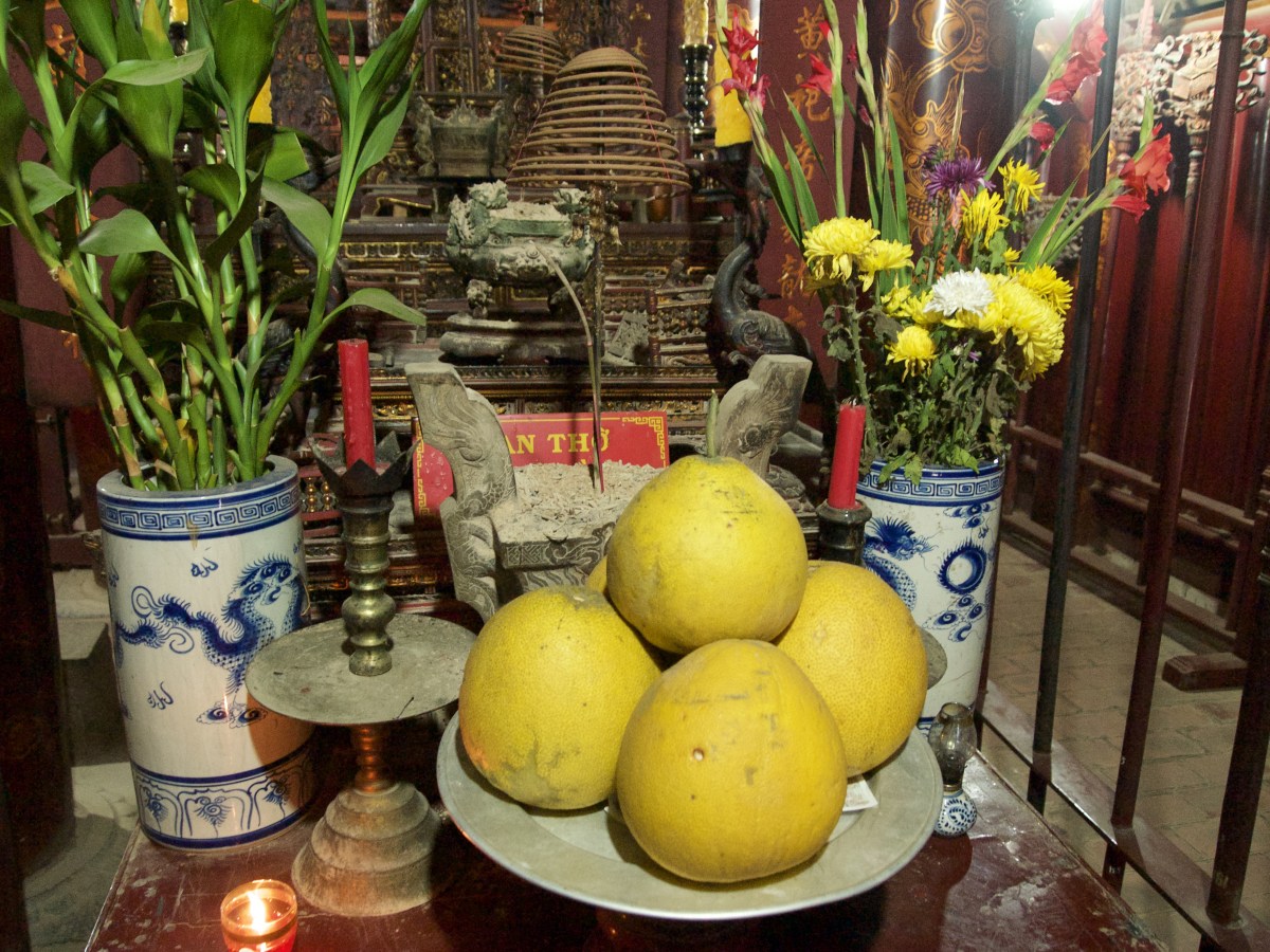 fullsizeoutput_1996a